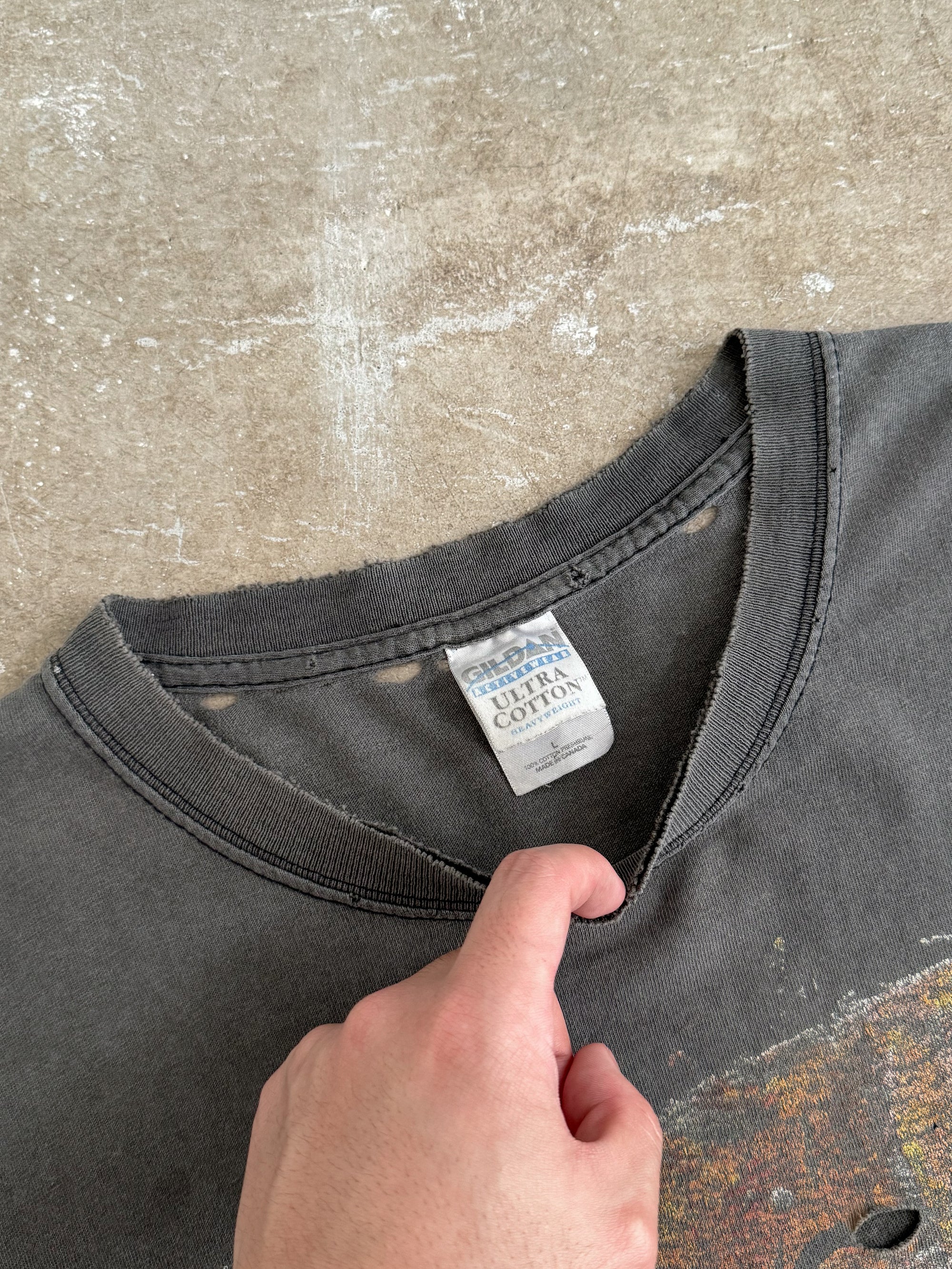2002 Rush "Vapor Trails" Faded Tee (L)