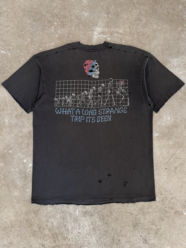 1993 Grateful Dead "Evolution" Thrashed Tee (XL)