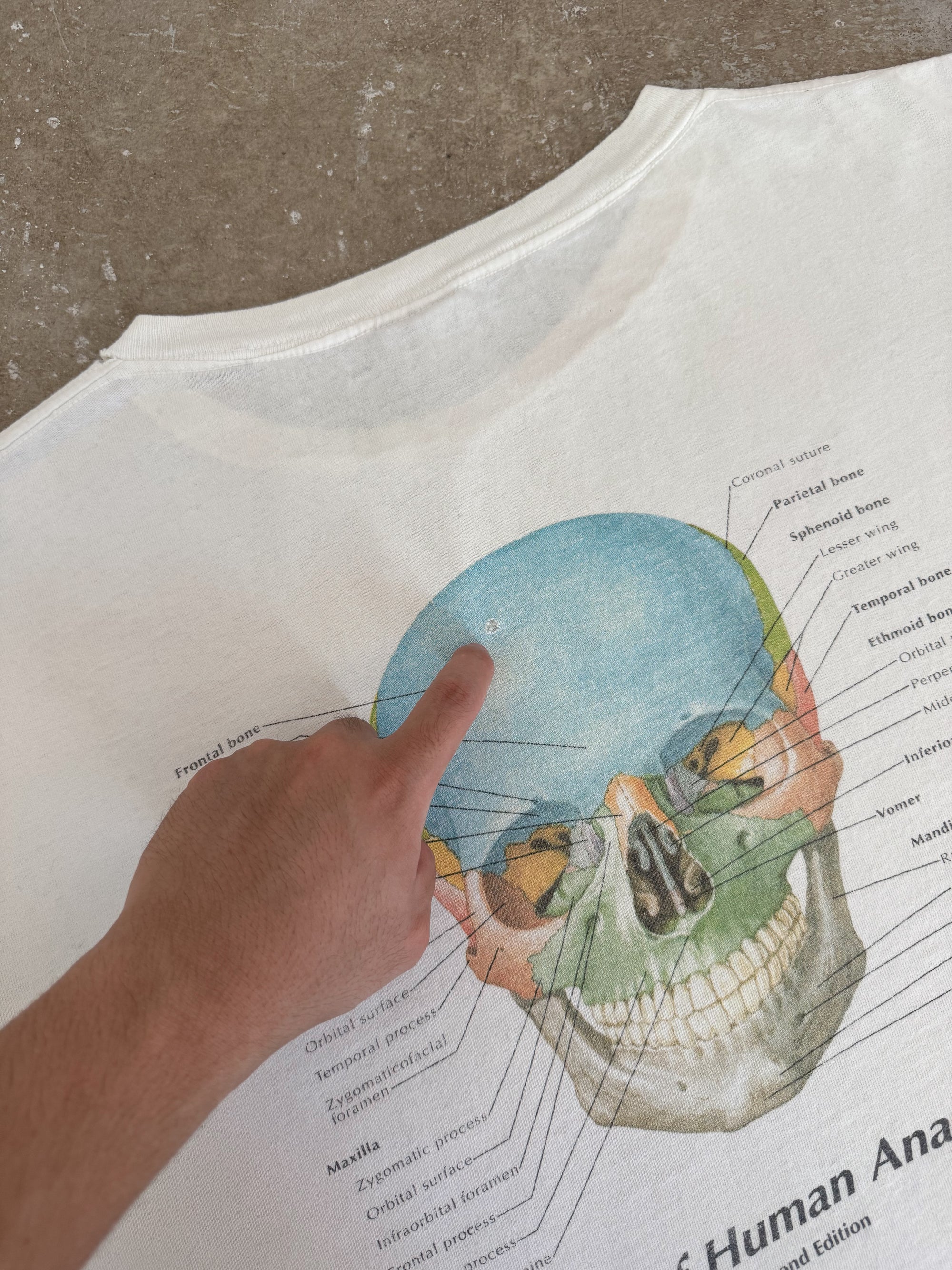 Late 90s "Atlas of Human Anatomy" Tee (XL)
