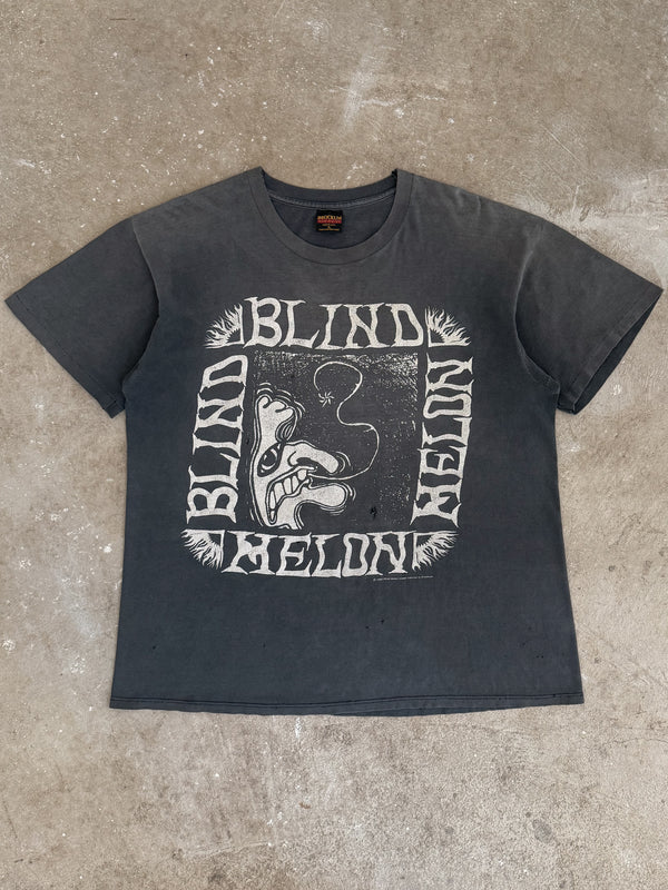 1992 Blind Melon "Crammed in a Bigger Van" Faded Tee (XL)