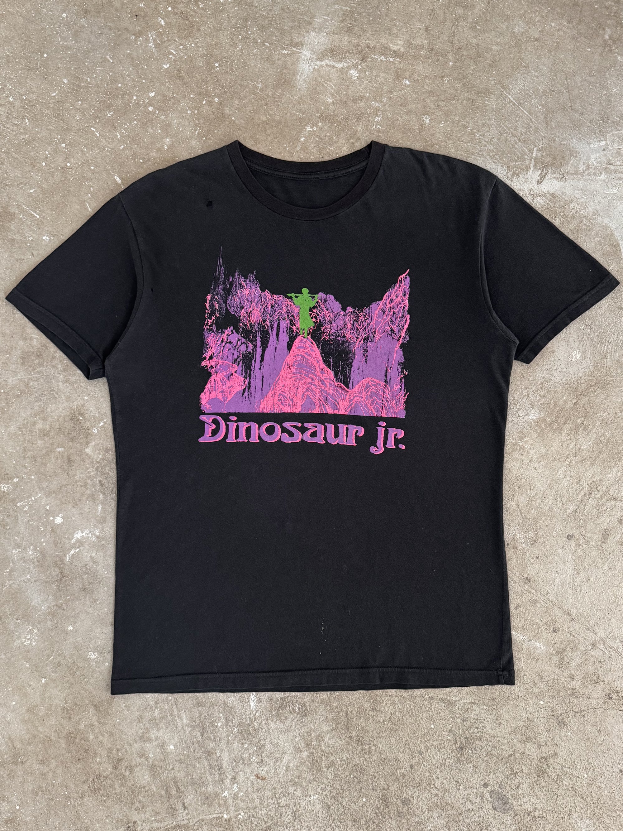 2016 Dinosaur Jr "Give a Glimpse of What Yer Not" Tee (L)
