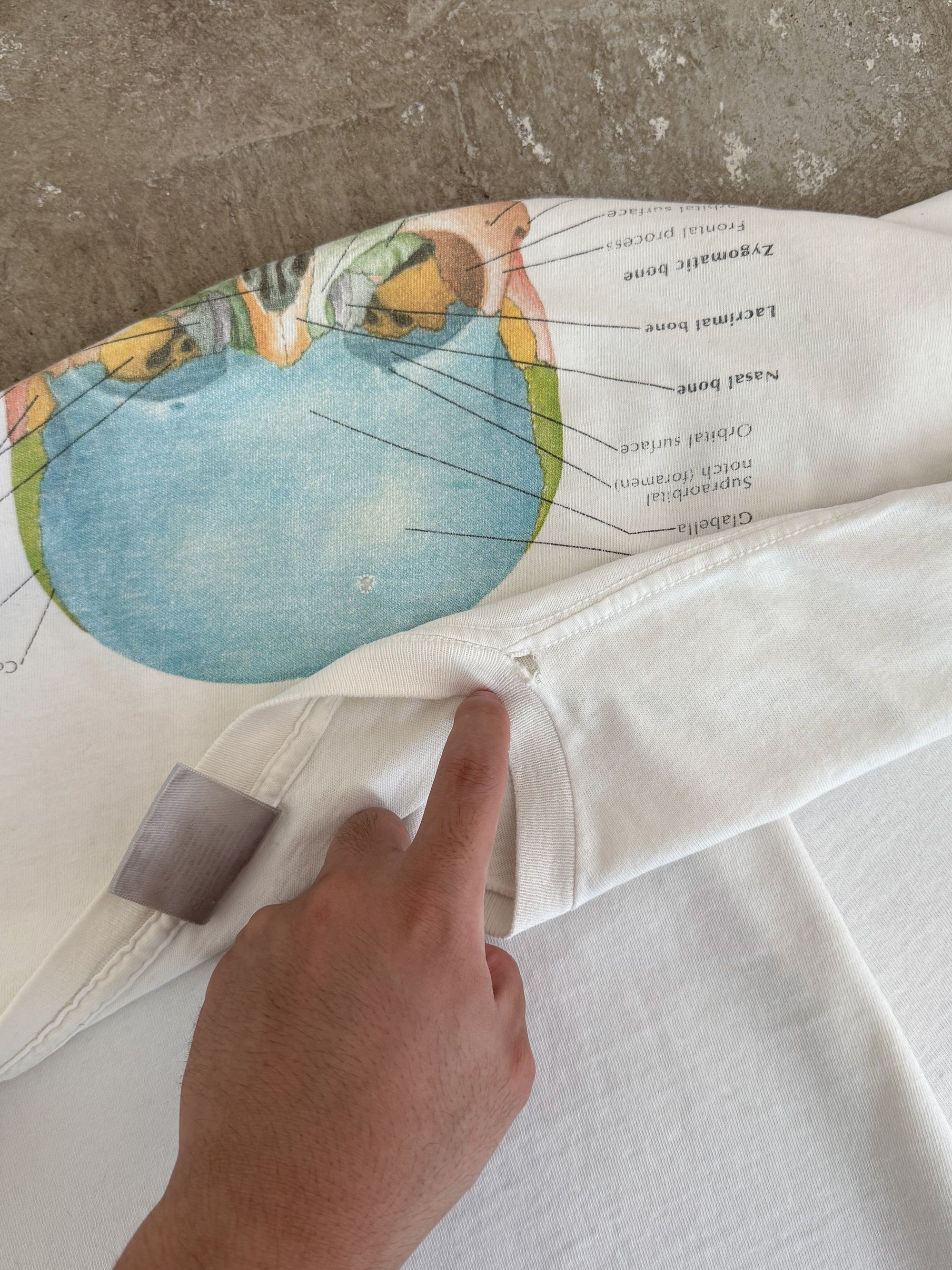 Late 90s "Atlas of Human Anatomy" Tee (XL)