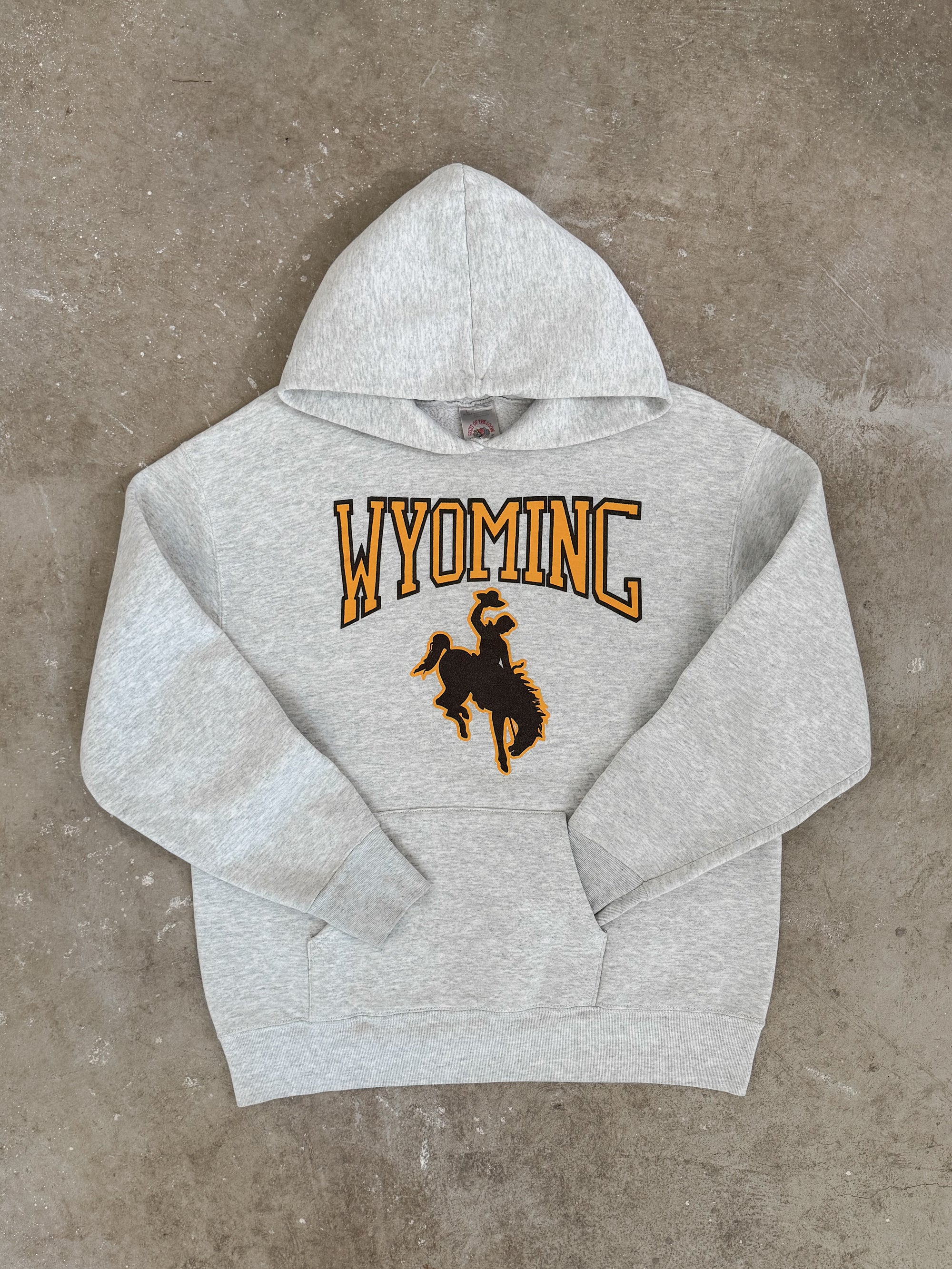 1990s "Wyoming" Hoodie (M)