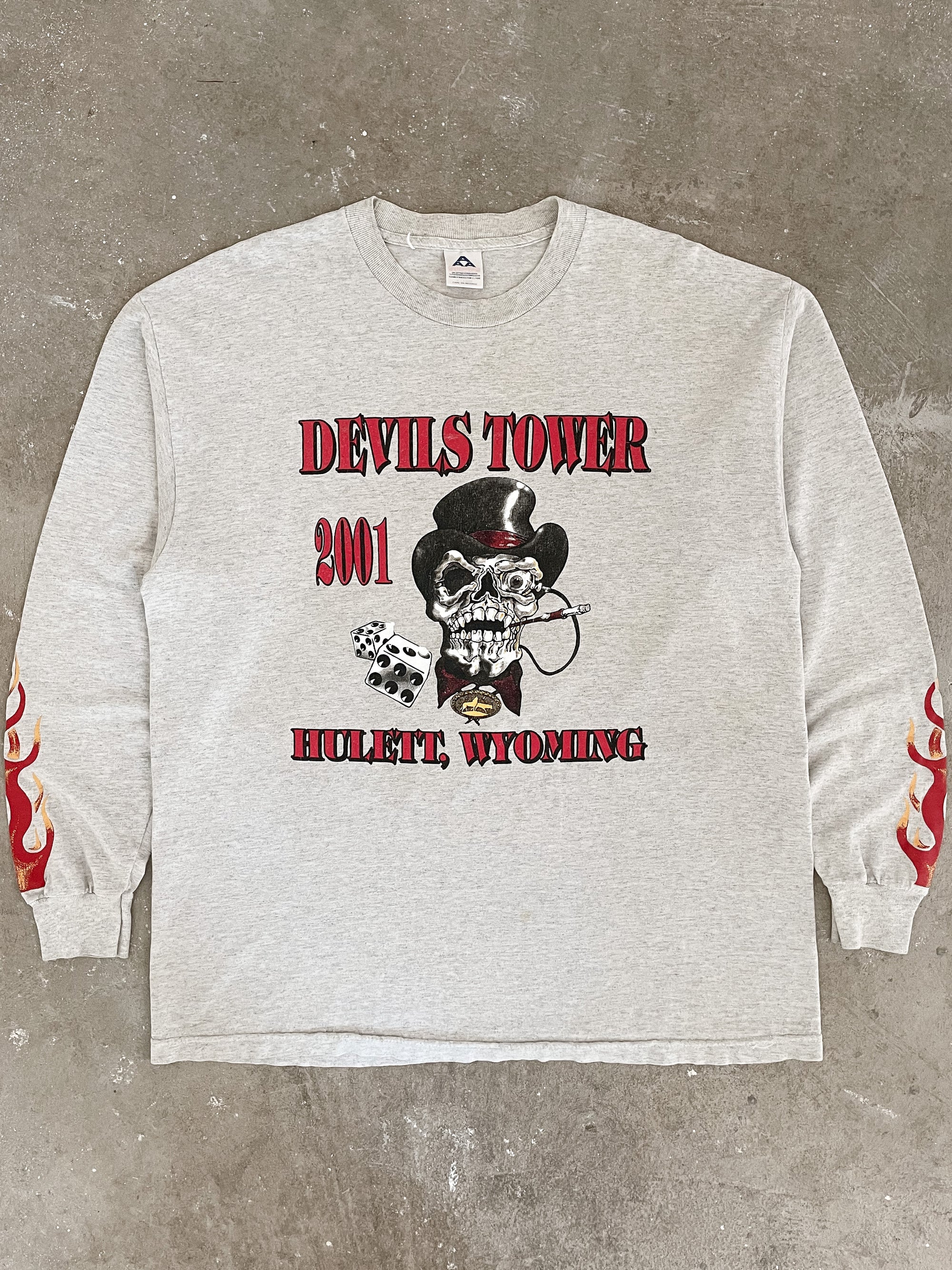 2000s “Devils Tower” Long Sleeve Tee (XL)