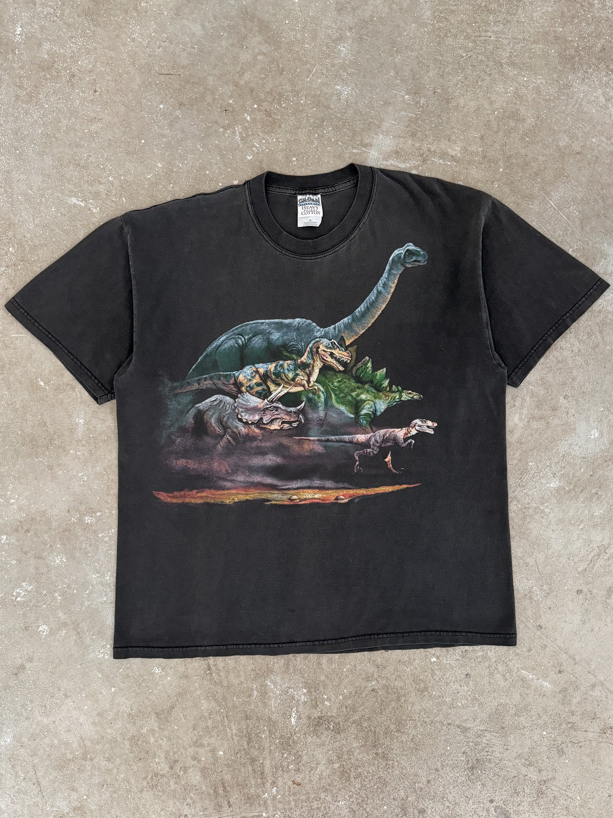 2000s "Dinosaurs" Faded Tee (XL)