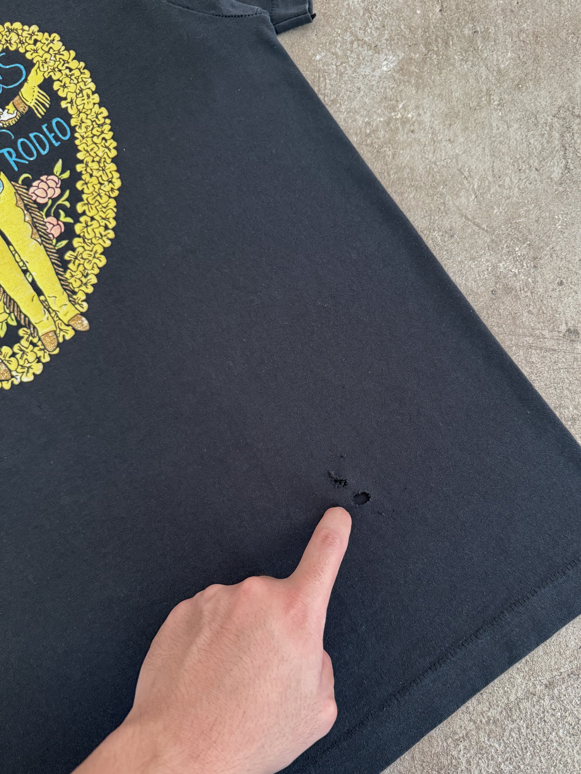 1990 Sweethearts of the Rodeo "Buffalo Zone" Tee (M)