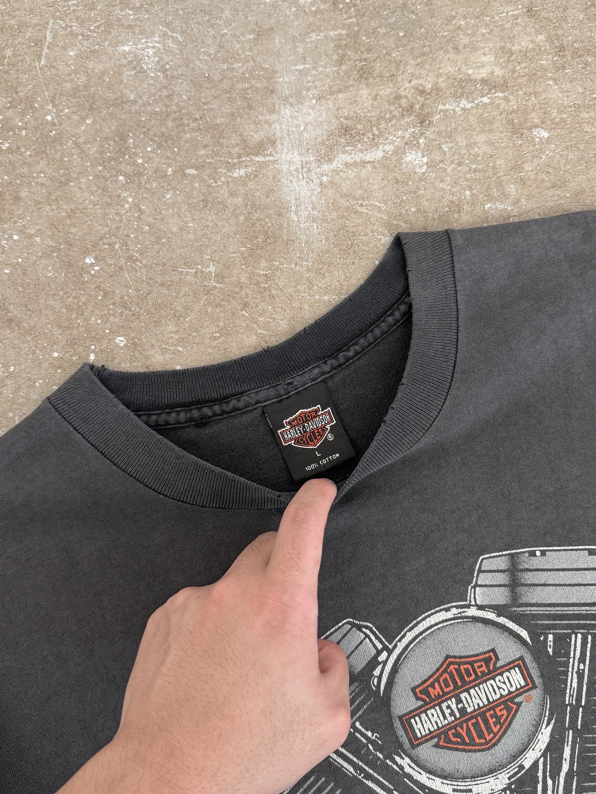 1990s Harley Davidson "Evolution" Tee (L)