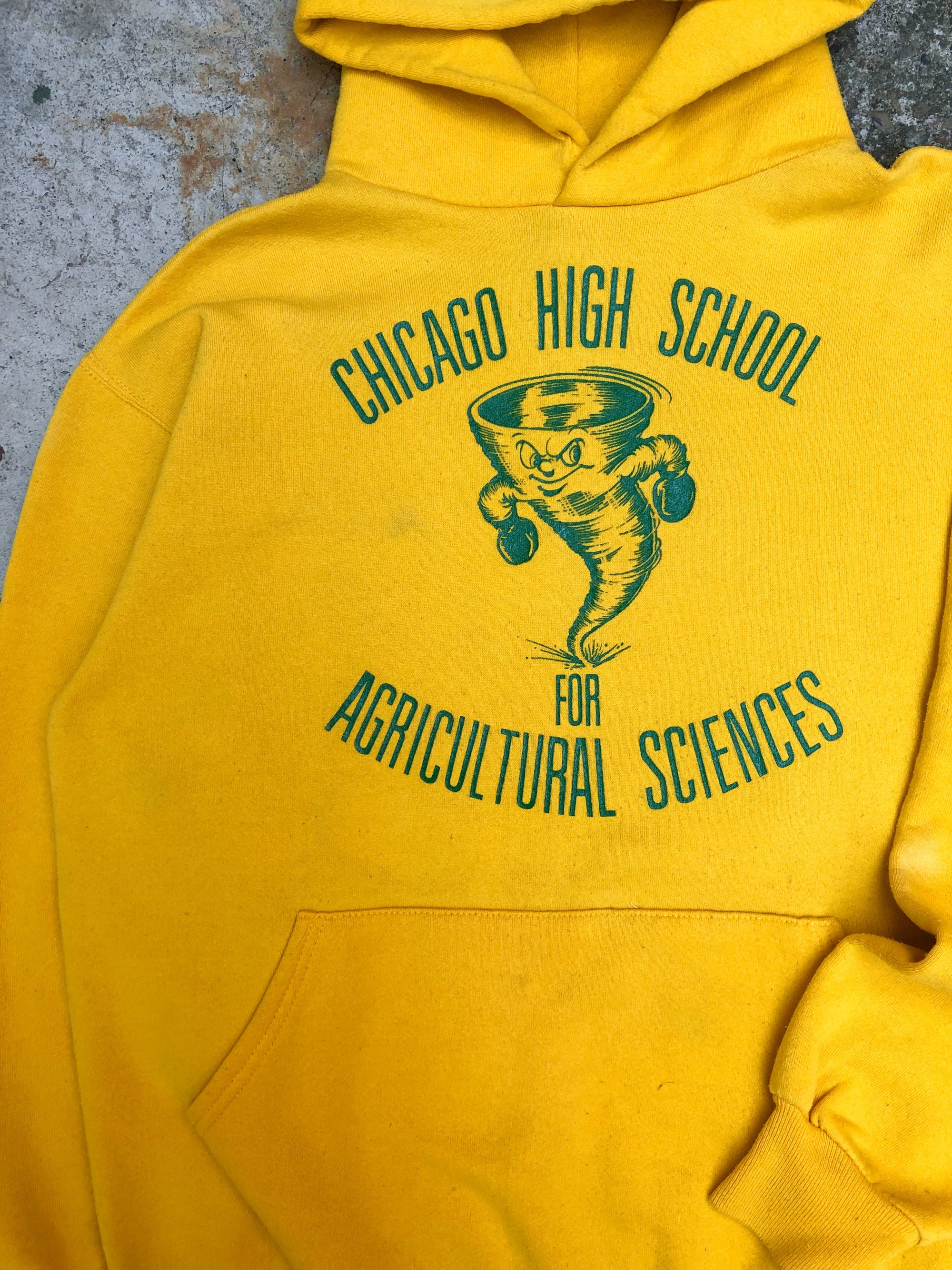 1980s Russell Faded Yellow “Agricultural Sciences” Hoodie