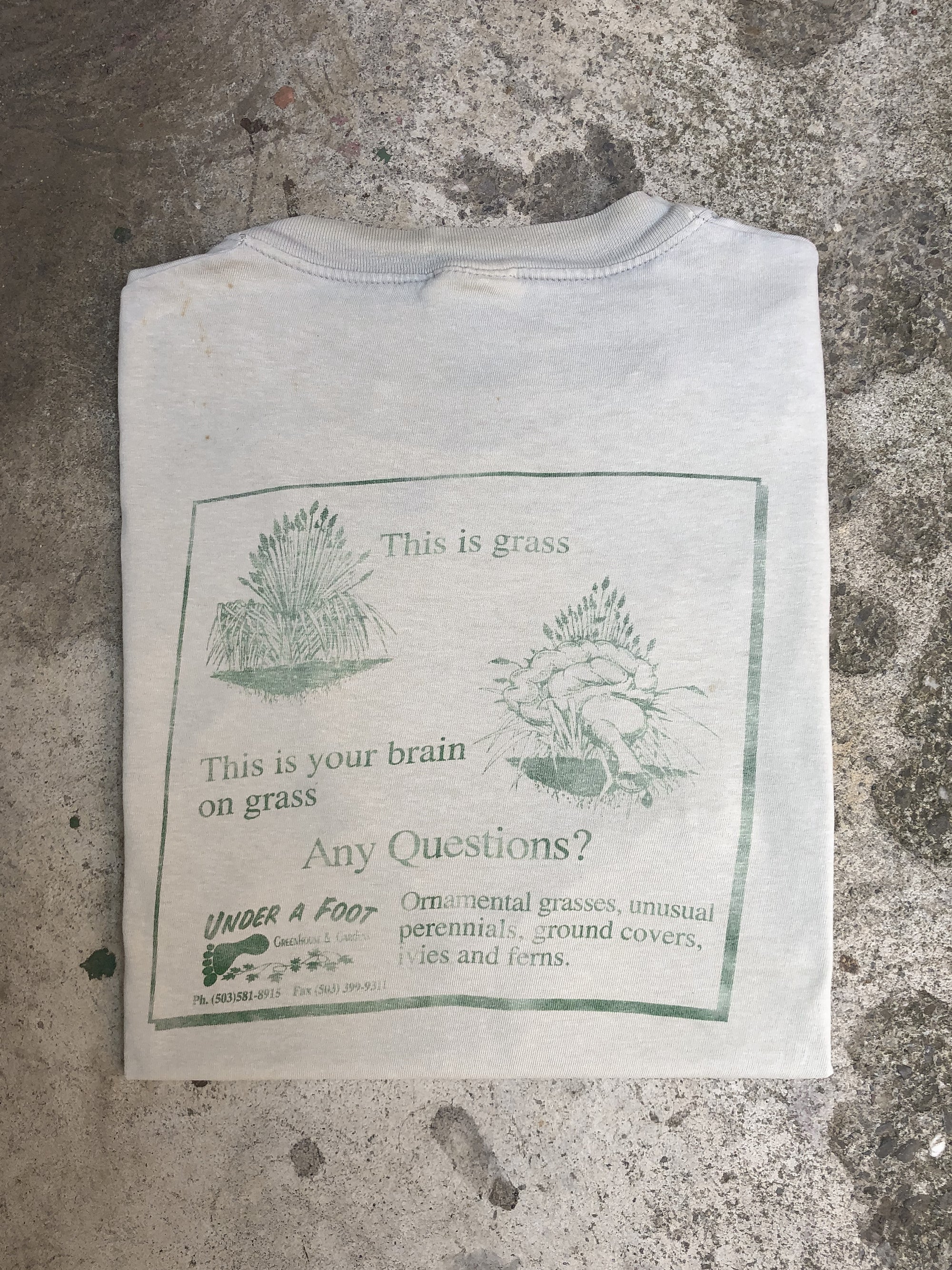 1990s “This is Your Brain on Grass” Hanes Beefy Tee