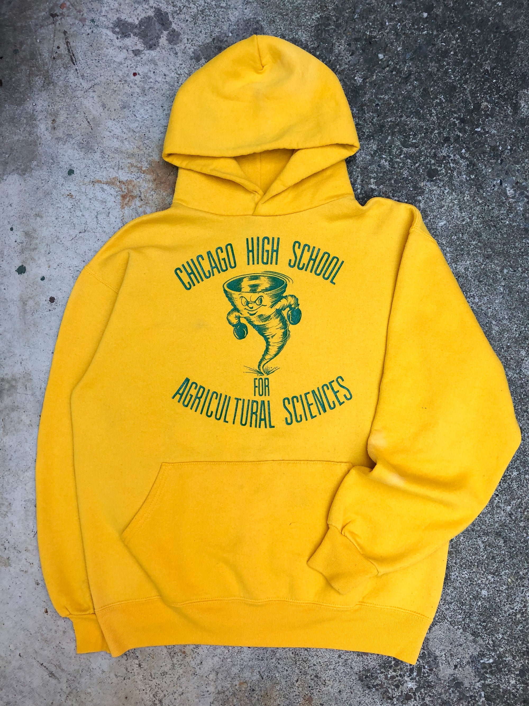 1980s Russell Faded Yellow “Agricultural Sciences” Hoodie