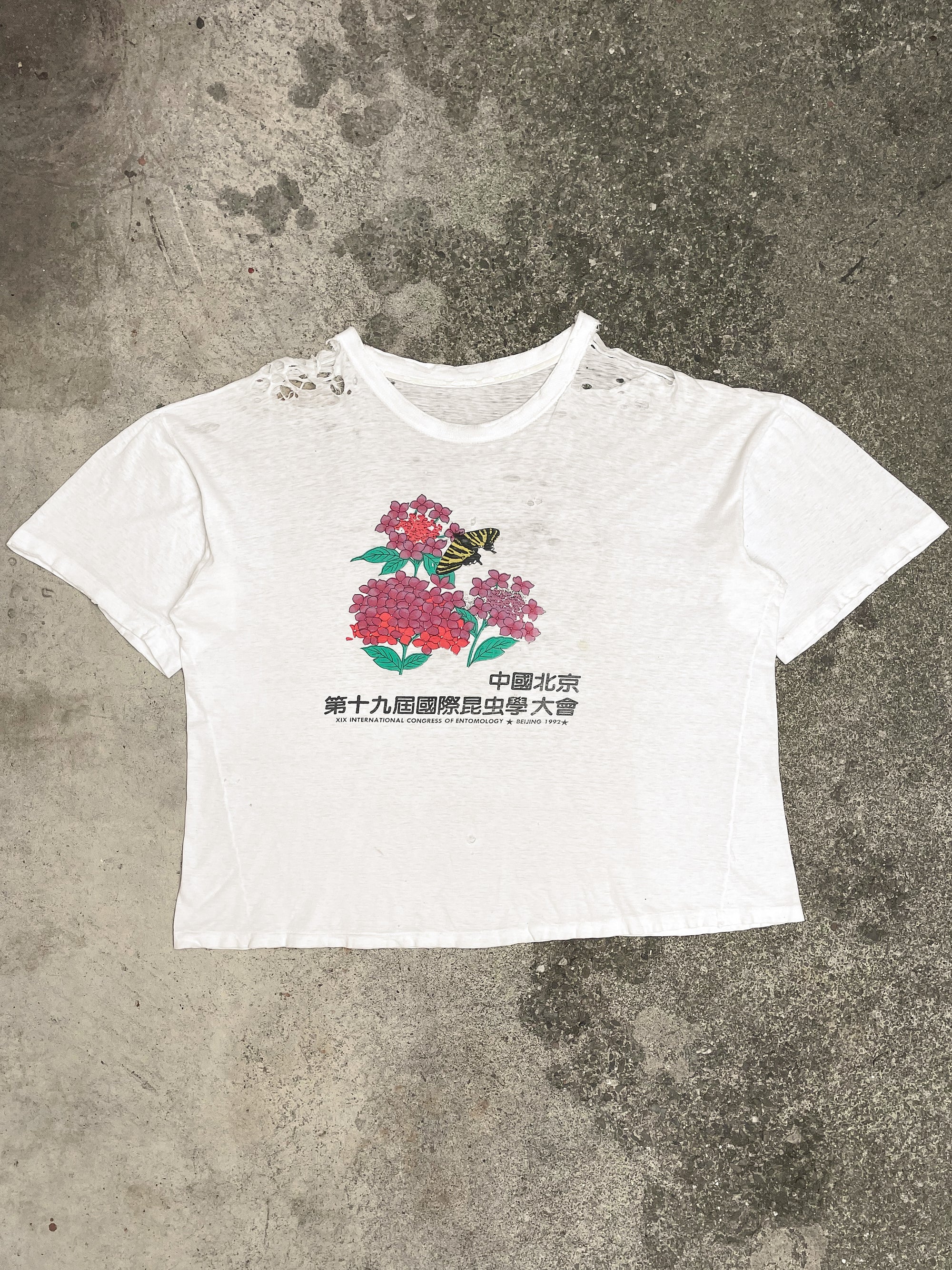 1990s Thrashed Boxy “Entomology” Single Stitched Tee (L/XL)