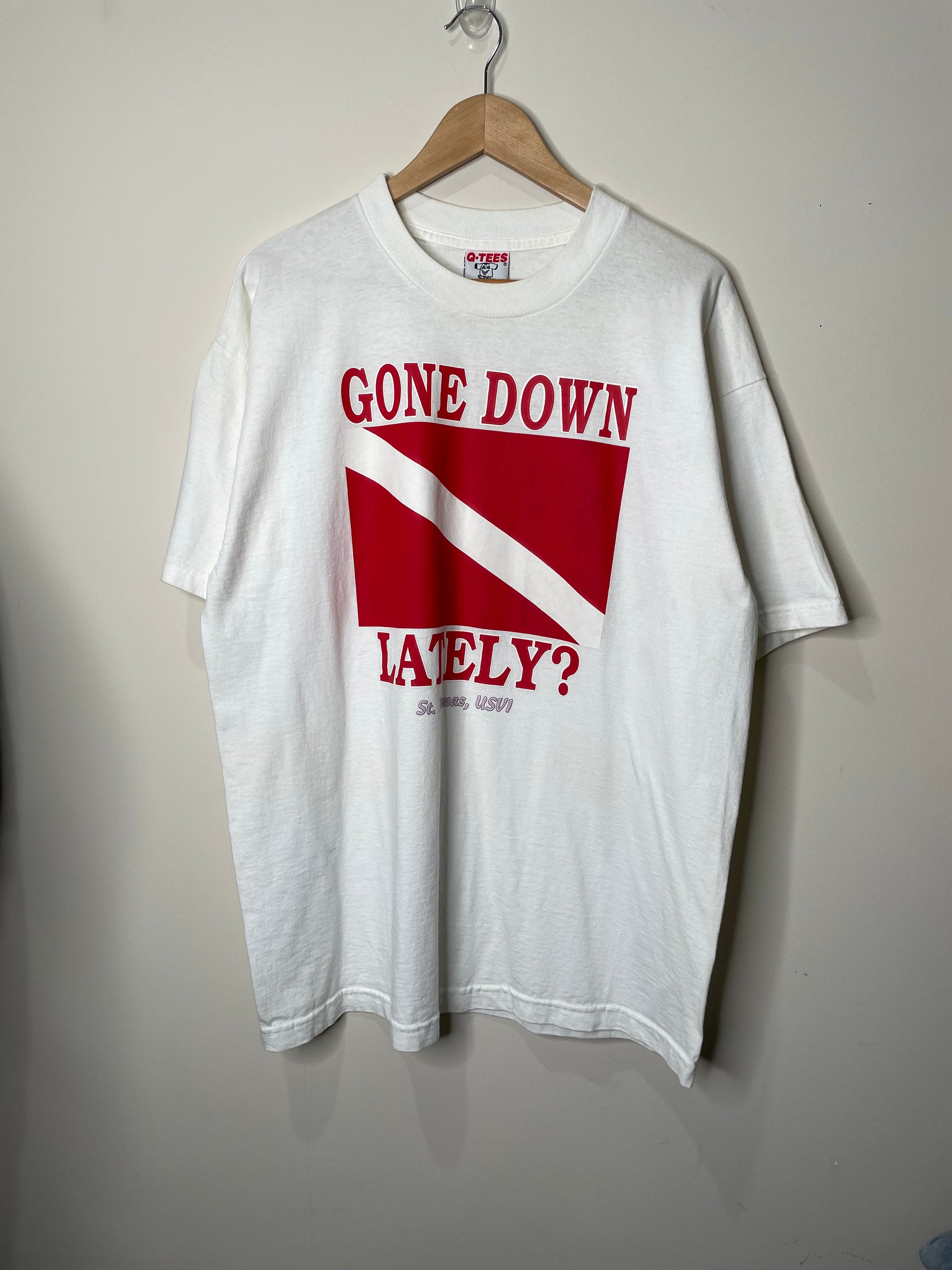 1990s “Gone Down Lately?” Tourist Tee (XL)